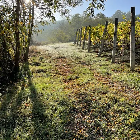 Dimora Piemonte Cessole