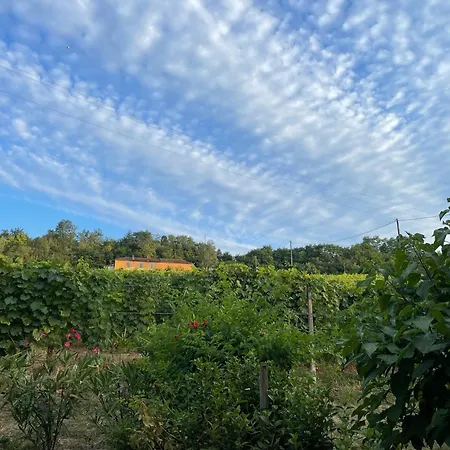 Villa Dimora Piemonte Cessole